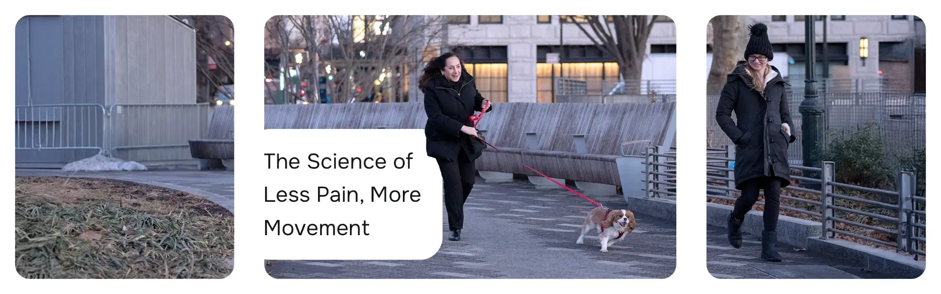 blog the science of less pain more movement blog the science of less pain more movement
